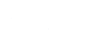 rhenus